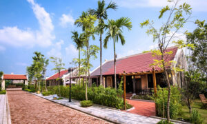nha phu ong 1