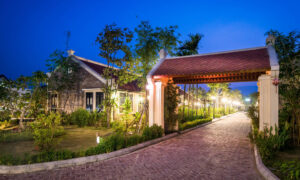 nha phu ong 6
