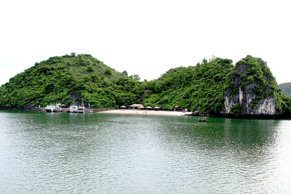 dao soi sim 1
