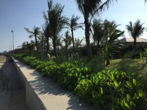 biệt thự flc sầm sơn