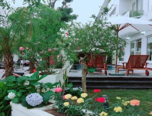 6 Phòng Ngủ - Sân Vườn Rộng 19 biet thu flc sam son 6pn co be boi 9