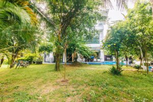 Villas 6 Phòng Ngủ - Rộng 500m2 4 villa 6pn to 2