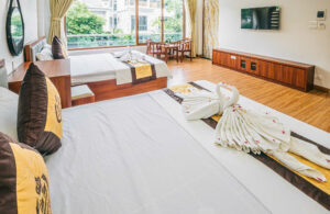 Villa Đôi 15 Phòng Ngủ - Khu BT Mới 31 villa 7 phong ngu doi 23