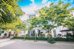 Villa 10 Phòng Ngủ - 500m2: Phòng Siêu Đẹp Có Bàn BI_A