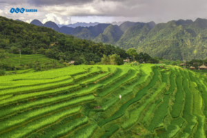 pu luong thanh hoa