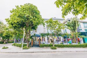 VIlla 7 Phòng Ngủ Căn Góc 350m2 Sân Vườn Rộng 3 NT60 7pn 1
