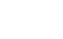 icon vietnam