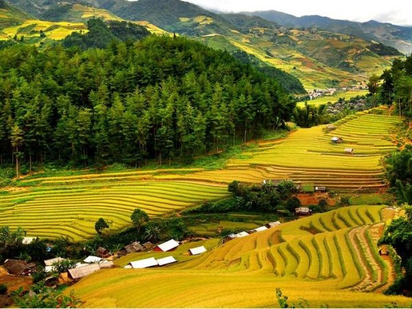 MAI CHAU 1 2