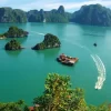 anh dai dien Halong