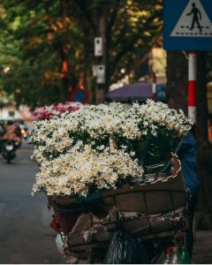 hanoi 2