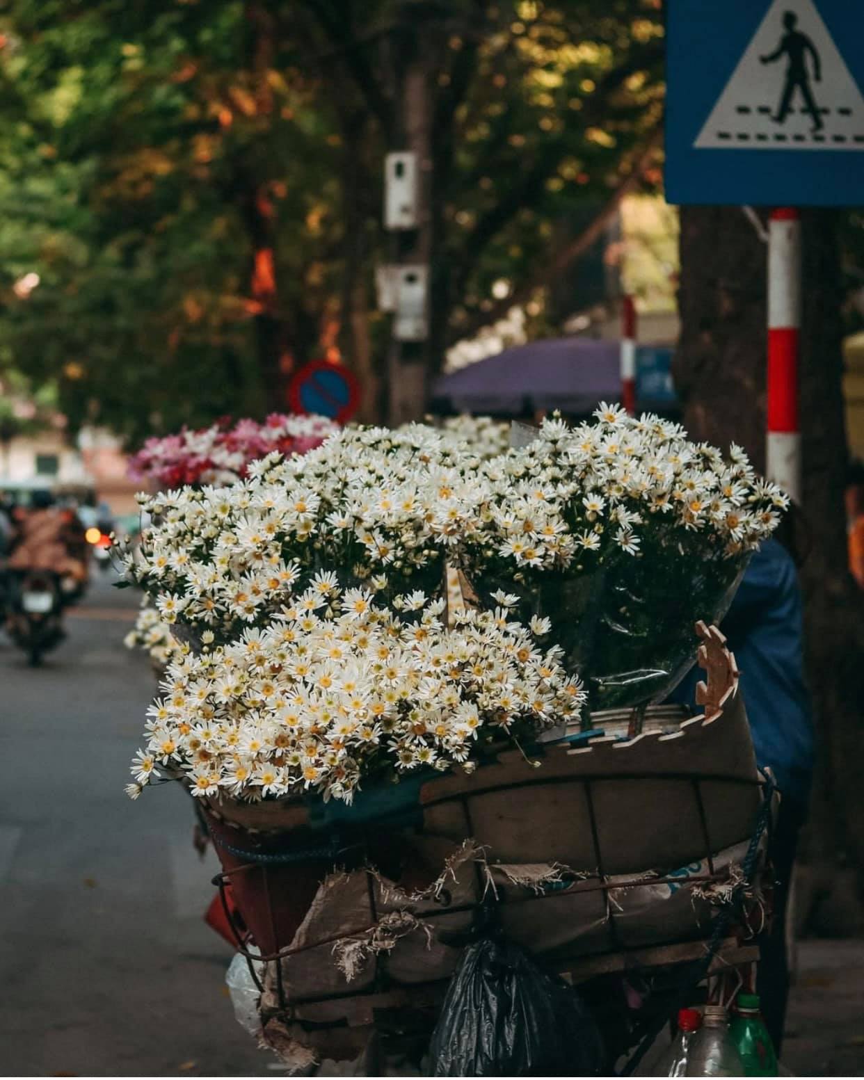 hanoi 2