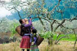 mai chau 5