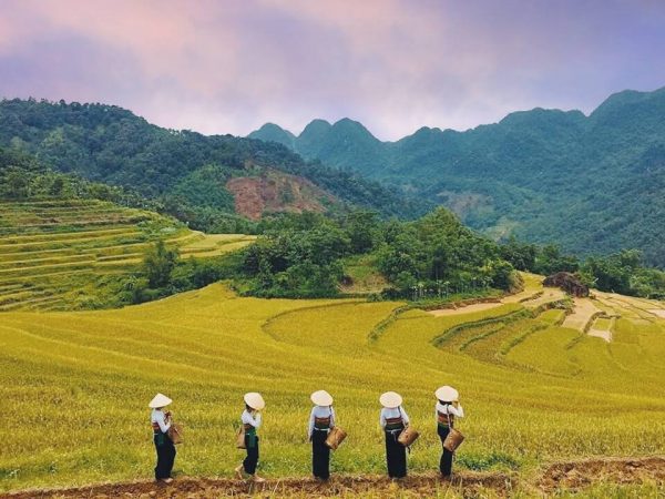 mai chau 8