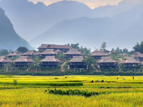 mai chau anh dai dien