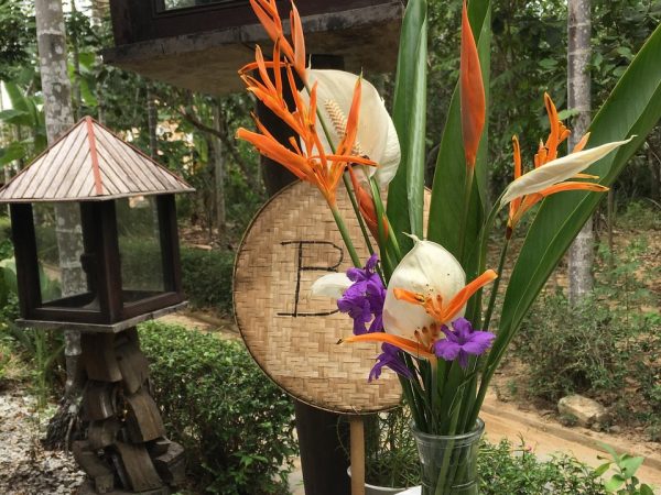 thuy bieu homestay
