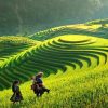 Sapa Anh dai dien