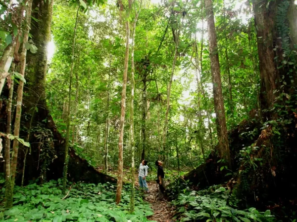 dalat viet action tours dalat trekking tours DALAT CANYONING TOURS di bo da ngoai 30