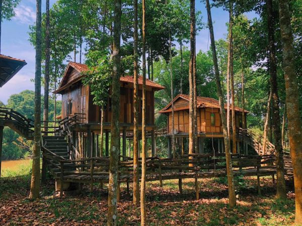 green bamboo lodge resort 1