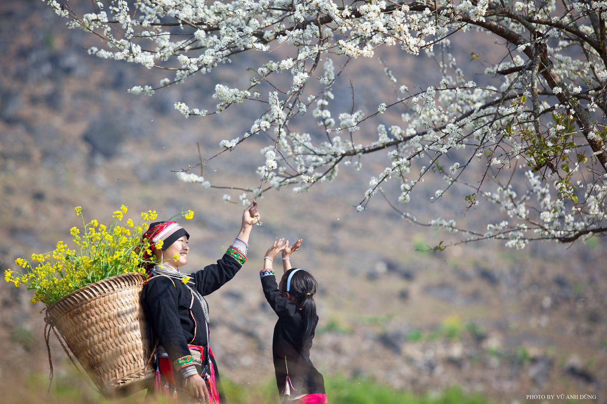 mot moc chau nhu lac giua thien duong may va hoa amazingthingsinvietnam 6