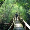 nam cat tien national park vietnam shutterstock Quang nguyen vinh