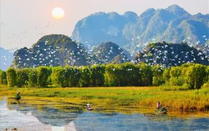 7556 kham pha nhung dao co doc dao co 102 o ninh binh 05394709072019