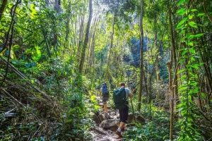 KohLipeJungleTrekkingandSnorkelingEcoTourbyLongtailBoat