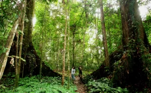 dalat viet action tours dalat trekking tours DALAT CANYONING TOURS di bo da ngoai 30
