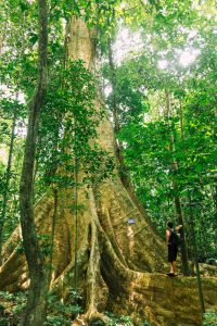 sctp0188 cat tien national park vietnam abasnejad 8