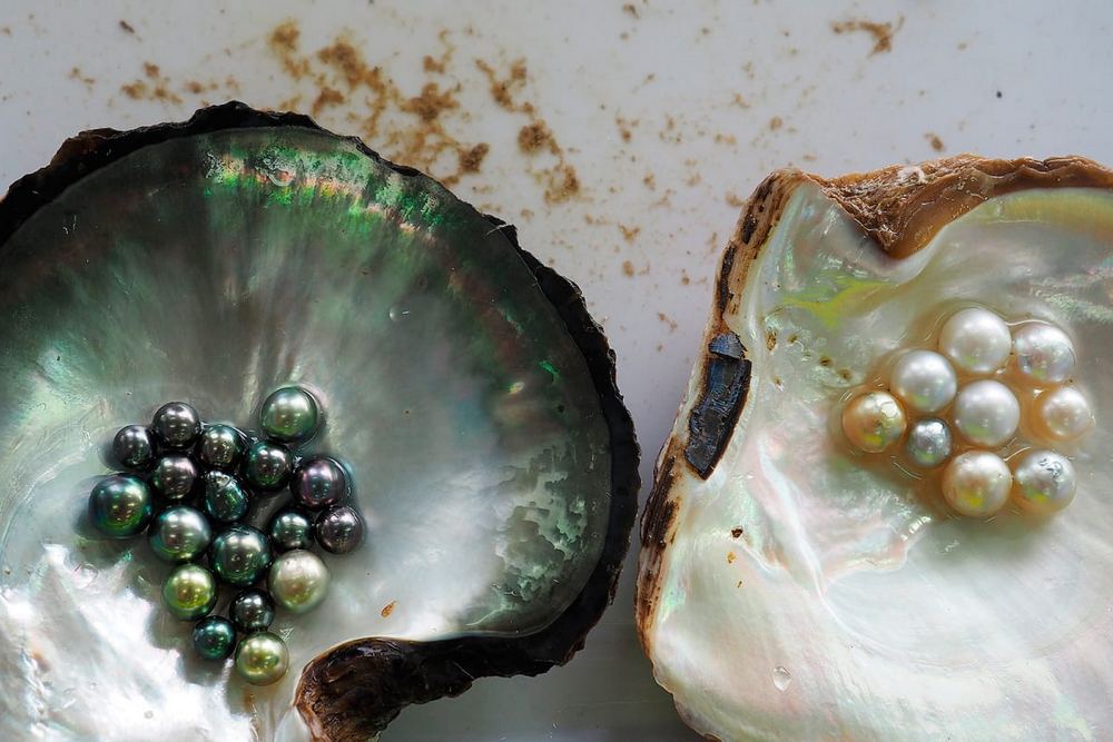 Pearl Farms Phu Quoc