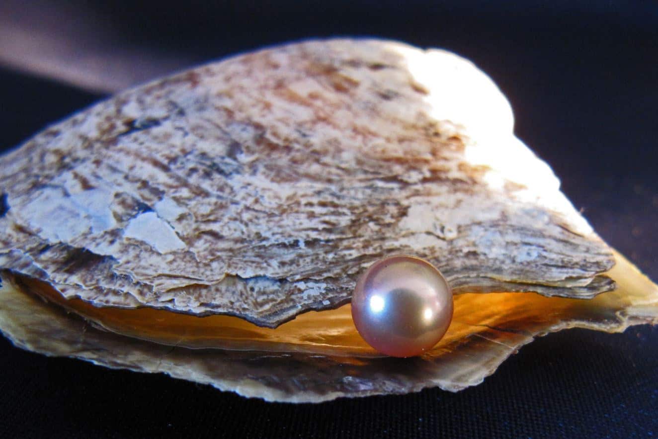 Pearls