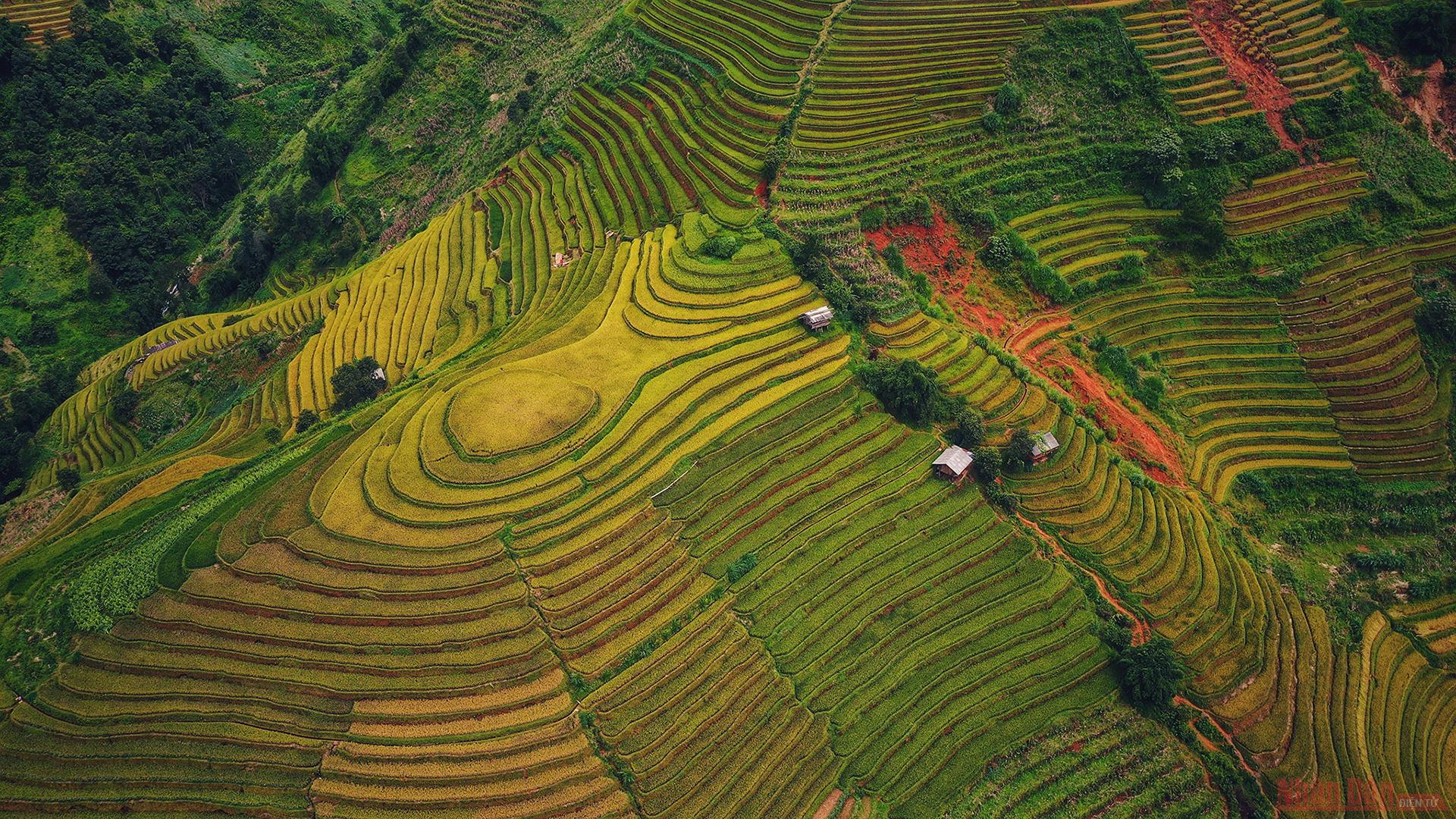 mucangchai9