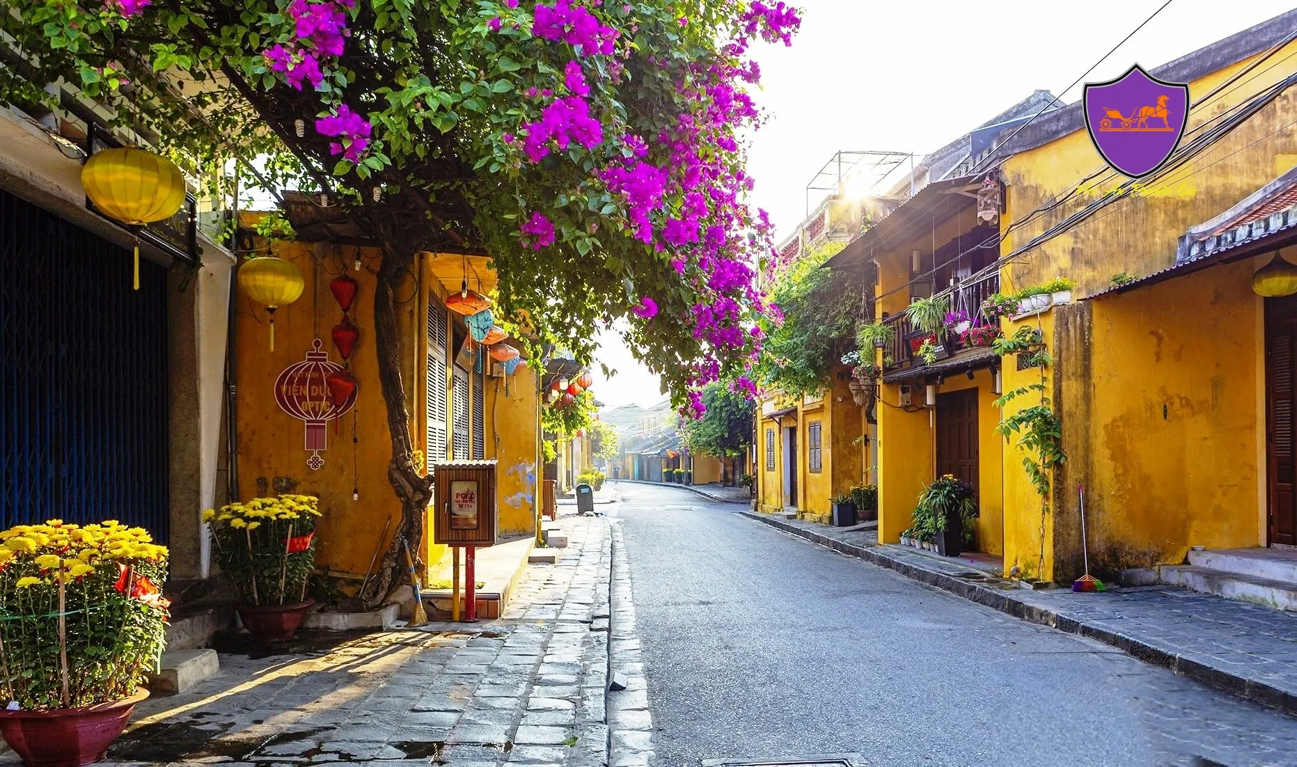 Good Morning Hoi An Photo Tour Hoi An Private Car