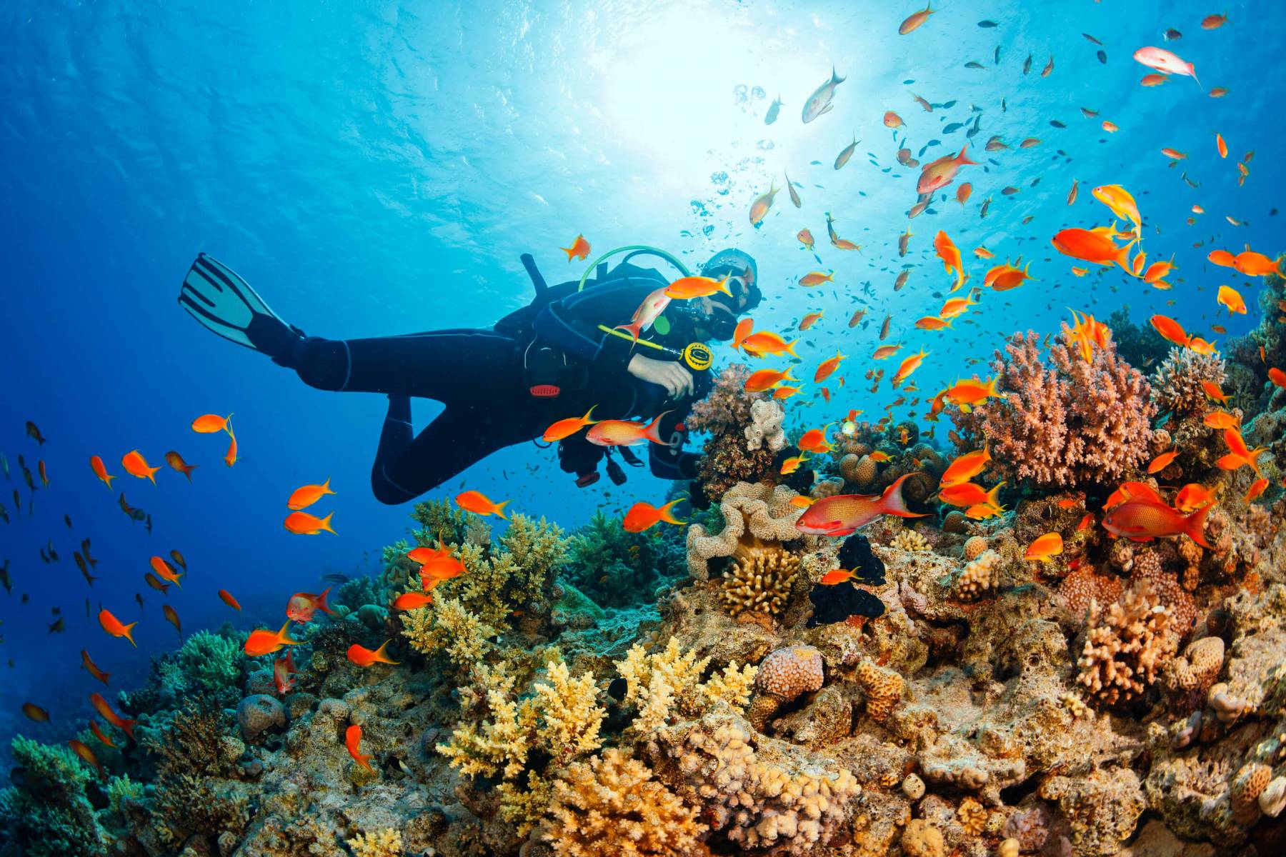 SNORKELING DIVING SPOTS IN PHU QUOC