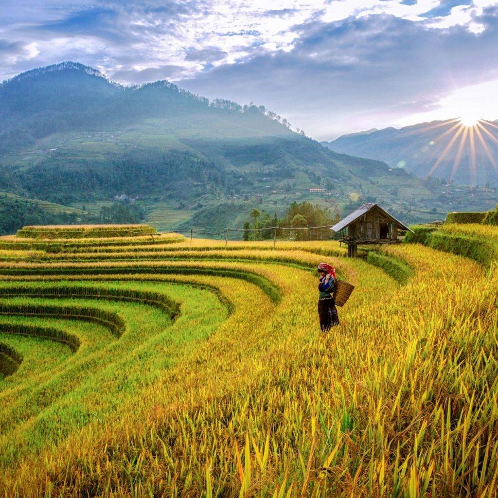 mam xoi hill vietnam l 1024x1024 1