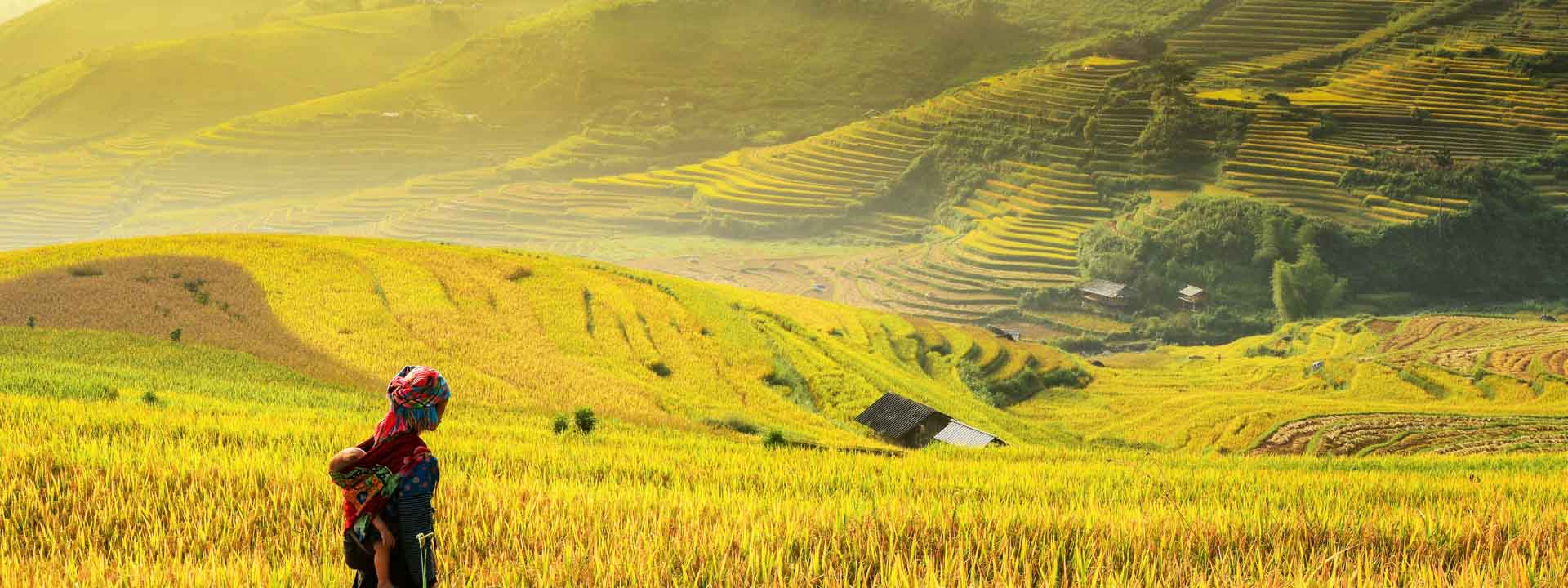 Vietnam Sapa Paddy fields local hill tribes walking 1