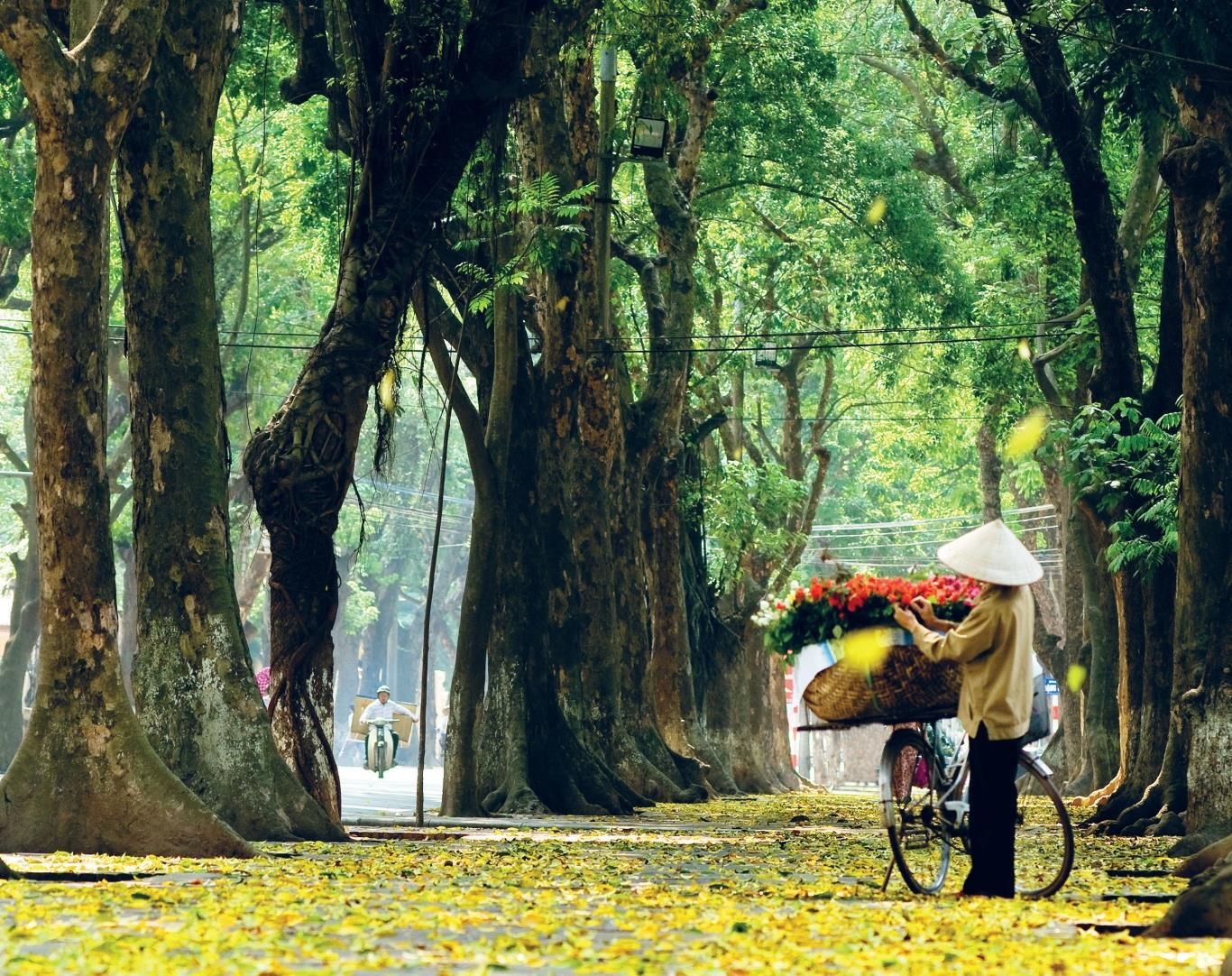 duong Dinh Tien Hoang