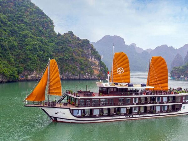 PEONY CRUISE