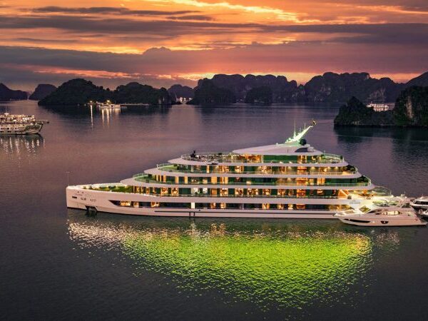 SEA STARS CRUISE