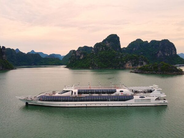 PARADISE DELIGHT DAY CRUISE