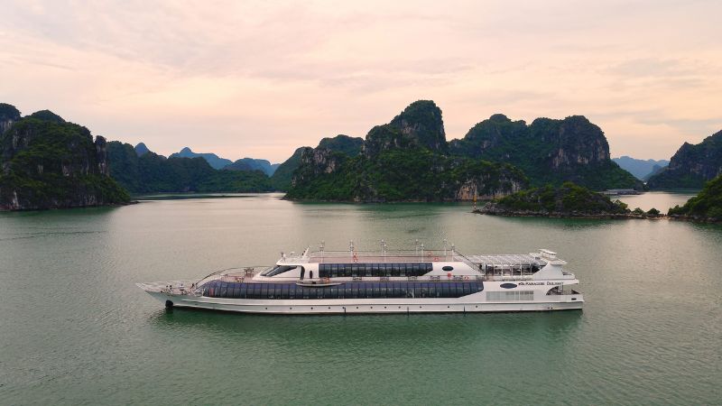 PARADISE DELIGHT DAY CRUISE