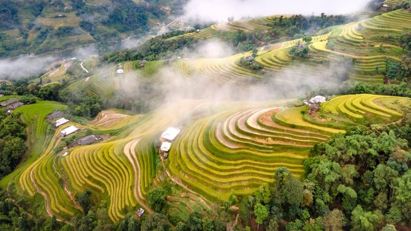 when-is-the-best-time-to-visit-ha-giang-5