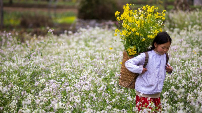 when-is-the-best-time-to-visit-ha-giang-2