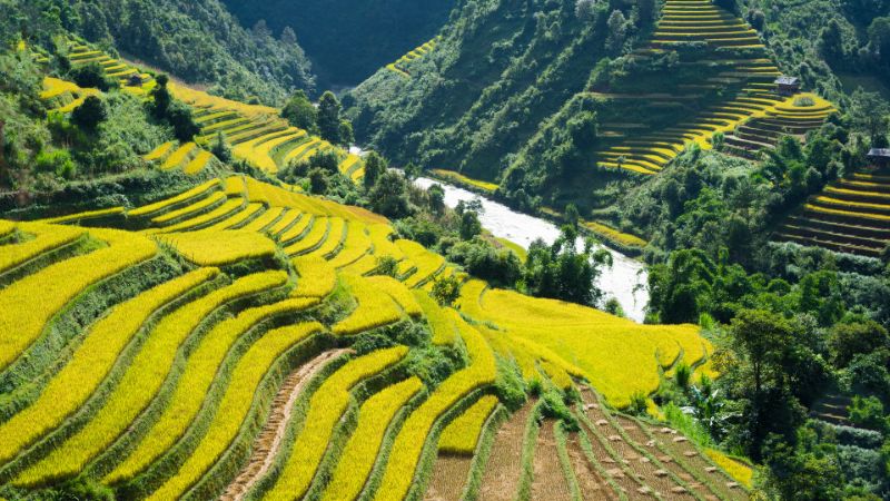 Sapa’s misty charm makes it a gem among Vietnam tour destinations