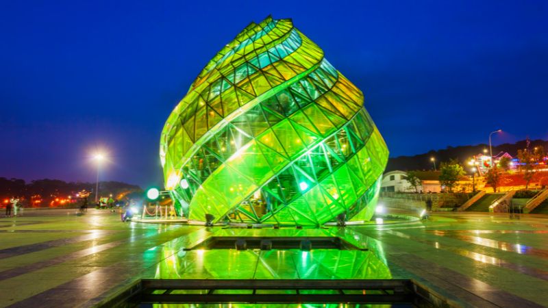 Dalat’s artichoke blooms – a gentle touch in Vietnam tour destinations