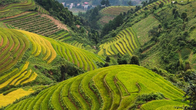 Ho Chi Minh to Sapa reveals Vietnam’s stunning geographic contrasts