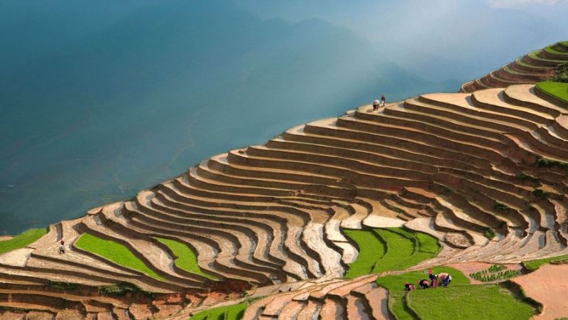 Vietnam Northern Travel shows nature's charm in every season