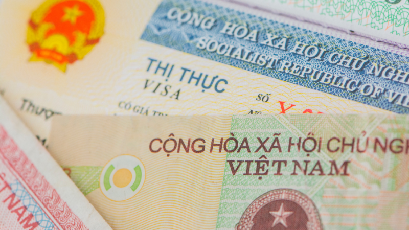 Vietnam visa application form (Source: Collected)