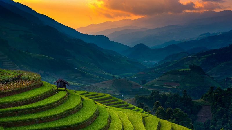 Flight Ticket to Vietnam: Complete Booking Guide with Best Deals & Travel Tips 2025 7 Make the most of your flight ticket to Vietnam with smart travel planning