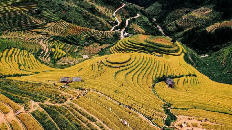 Mu Cang Chai’s golden terraces are a top highlight among North Vietnam places to visit
