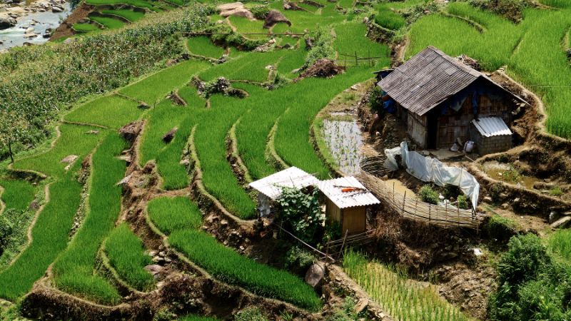 Things to do in Sapa: take on scenic treks from valleys to Fansipan summit